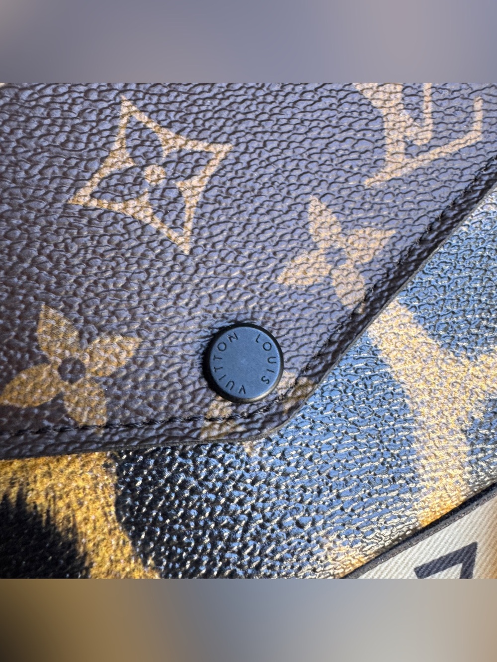 Louis Vuitton Wild Animal Pochette Felicie Crossbody - Picture 4 of 16